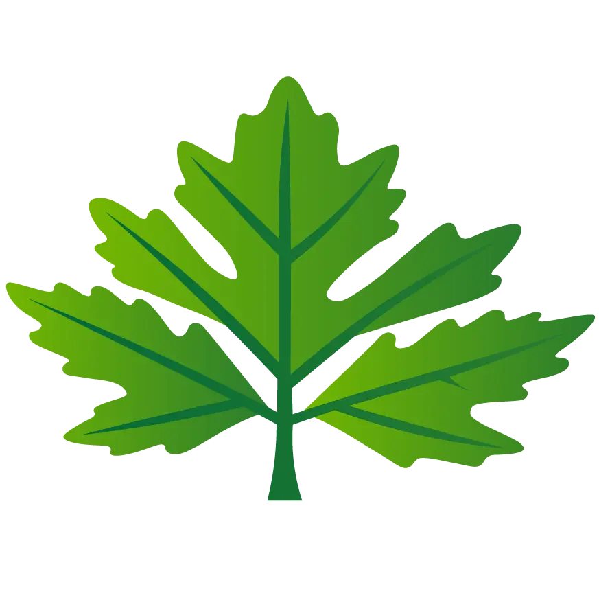 maple-tree-logo-green